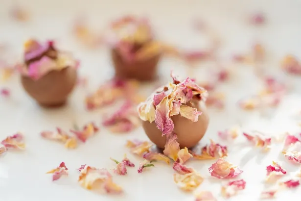 Pelican Kasino Android/iOS aplikace